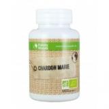 Chardon-Marie