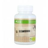 Desmodium