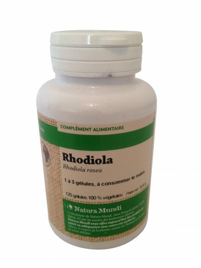 Rhodiola rosea