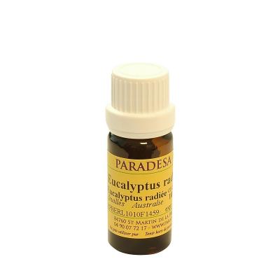 huile essentielle bio eucalyptus radiata